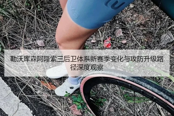 勒沃库森阿隆索三后卫体系新赛季变化与攻防升级路径深度观察